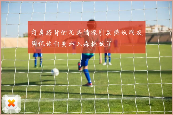 勾肩搭背的兄弟情深引发热议网友调侃你们要加入森林狼了