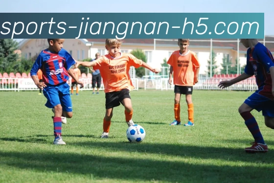 App Interface Preview